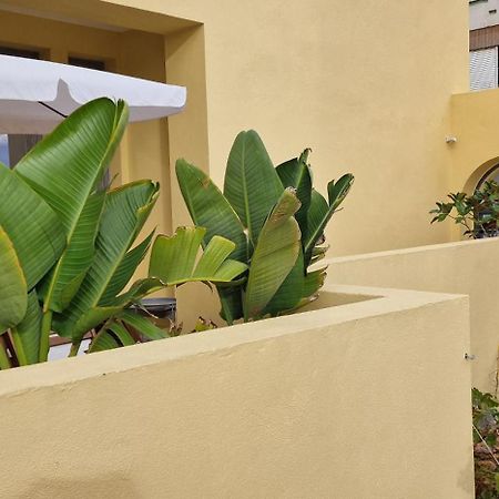 Casa Da Acoteia Apartment Faro Bagian luar foto